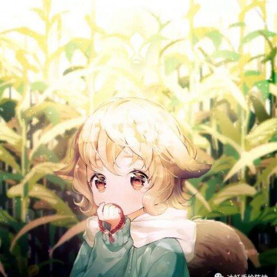 骆驼被排挤走失主人寻回把它骂哭了